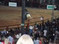 11 05 Rodeio  120 