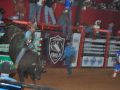 11 05 Rodeio  69 