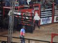 RODEIO 09 05 25  80 
