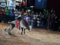 RODEIO 09 05 25  87 