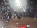 RODEIO 10 05 25  111 