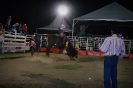 1º Rodeio Fest Show-Bairro do Quadro 15-11-2013-57