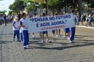 Desfile Cívico em Itápolis - 31/08 - Gal 4-32
