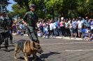  Desfile Cívico em Itápolis - 31/08-478