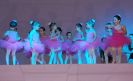  Festival de Ballet no CCI - 14/11-24