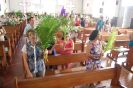 Benção dos Ramos Lar São José 29-03-3