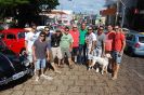 Encontro do Fusca de Itápolis-86