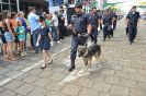 Galeria 1 - Desfile do Dia da Independência do Brasil -589