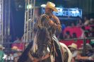 Ibitinga Rodeio Show 2016-80