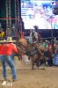 Ibitinga Rodeio Show 2016-99